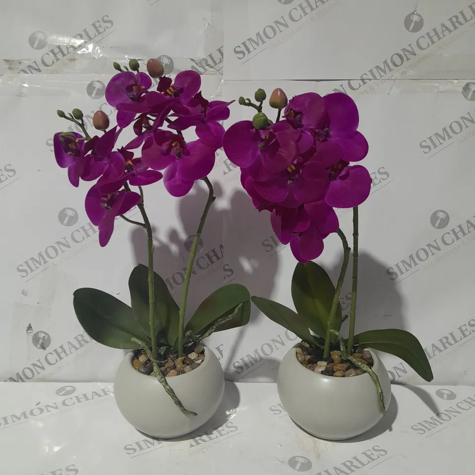 BOX OF 2 SYNTHETIC FLOWERS AND POT 