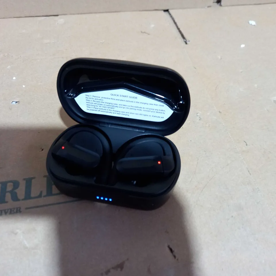 BLUETOOTH TRUE WIRELESS EARBUDS