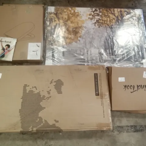 PALLET OF ASSORTED ITEMS INCLUDING TOILET SEAT, HOMIDEC TELESCOPIC LADDER, CANVAS PAINTING, FLEX-BAND EXERCISE BAND, WIND TOOK BACKPACK