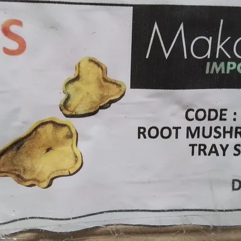 ROOT MUSHROOM SMALL TRAY