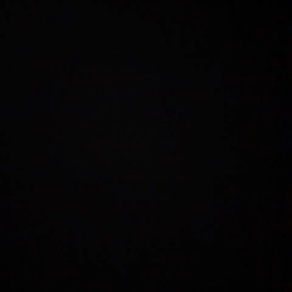 BOXED SABRE DOOR SECURITY BAR WITH ALARM