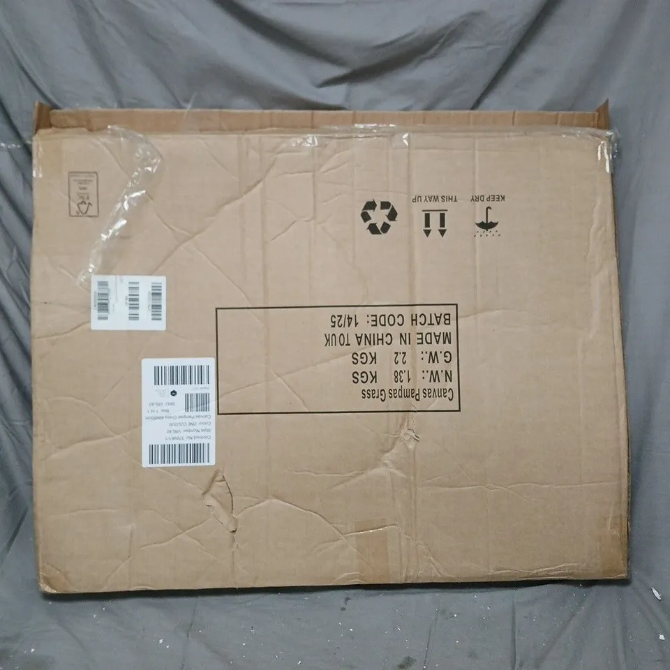 PAMPAS GRASS CANVAS ART. FRAME IS BROKEN