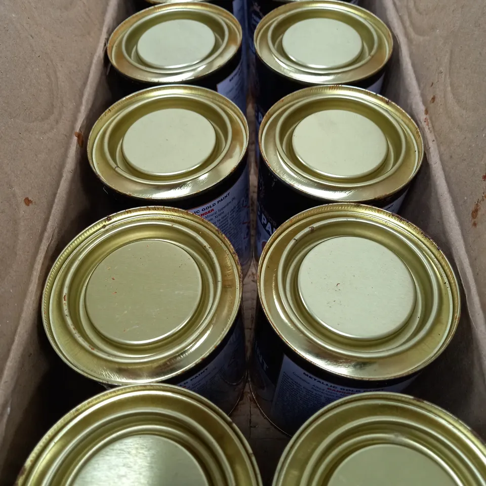 BOX OF 12 PAINT FACTORY SHIMMERING GOLS METALLIC PAINT