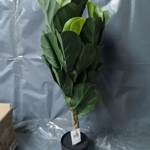 66CM FIDDLE LEAF FIG TREE IN PLASTIC POT