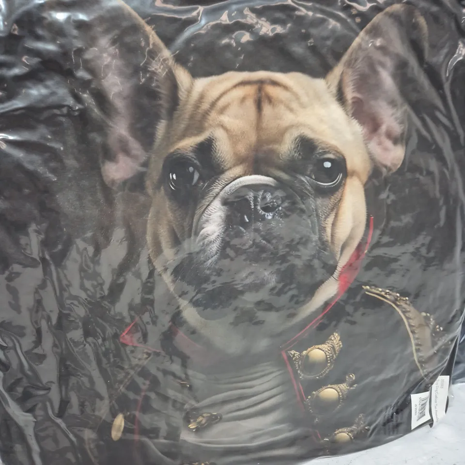 LOT OF 16 AS NEW TOP DOG TAN FRENCHIE THEMED FILLED CUSHIONS - 45X45CM