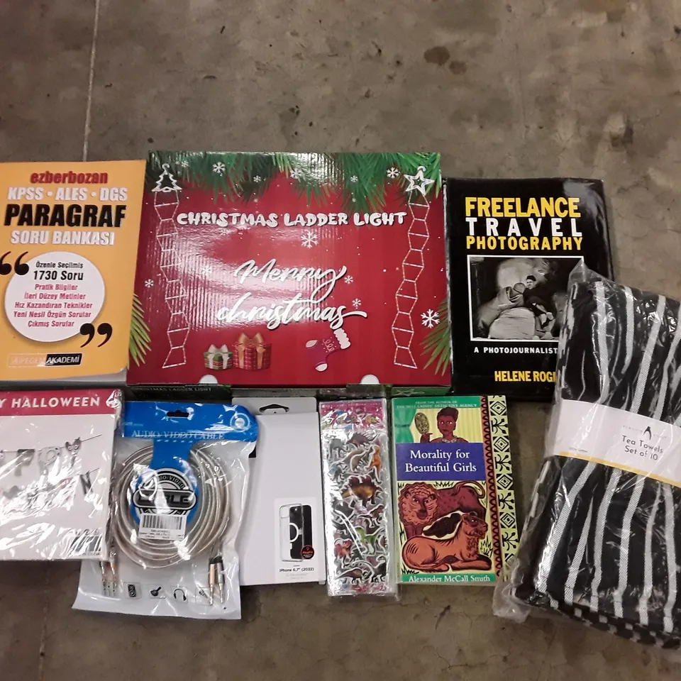 PALLET OF 6 BOXES CONTAINING ASSORTED PRODUCTS INCLUDING TEA TOWELS, HALLOWEEN DECORATIONS, DINOSAUR STICKERS, SPEAKER CABLE, CHRISTMAS LADDER LIGHT, TRAVEL PHOTOGRAPHY BOOK