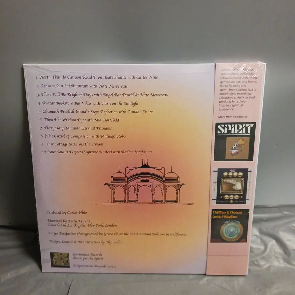 ASHRAM SUN SURYA BOTOFASINA VINYL