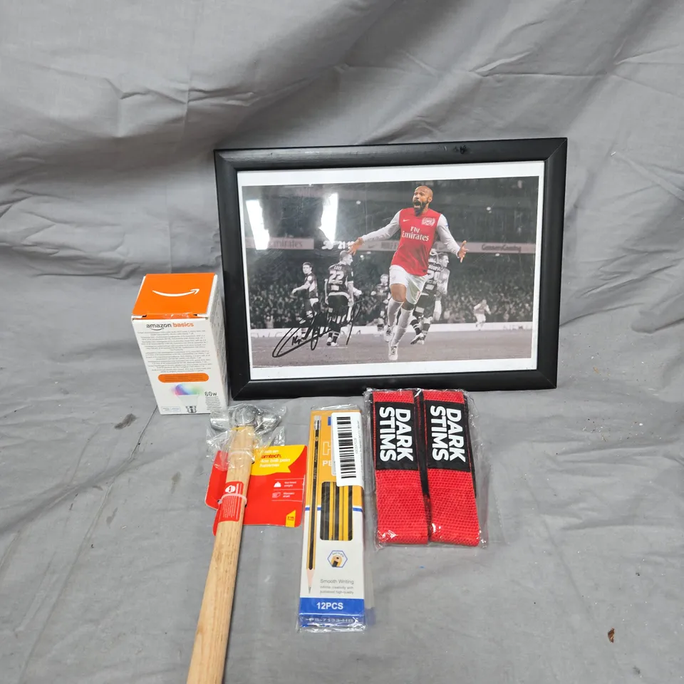 APPROXIMATELY 15 ASSORTED HOUSEHOLD ITEMS TO INCLUDE THIERRY HENRI PHOTO, PENCILS AND AN AMTEC BALL PAIN HAMMER