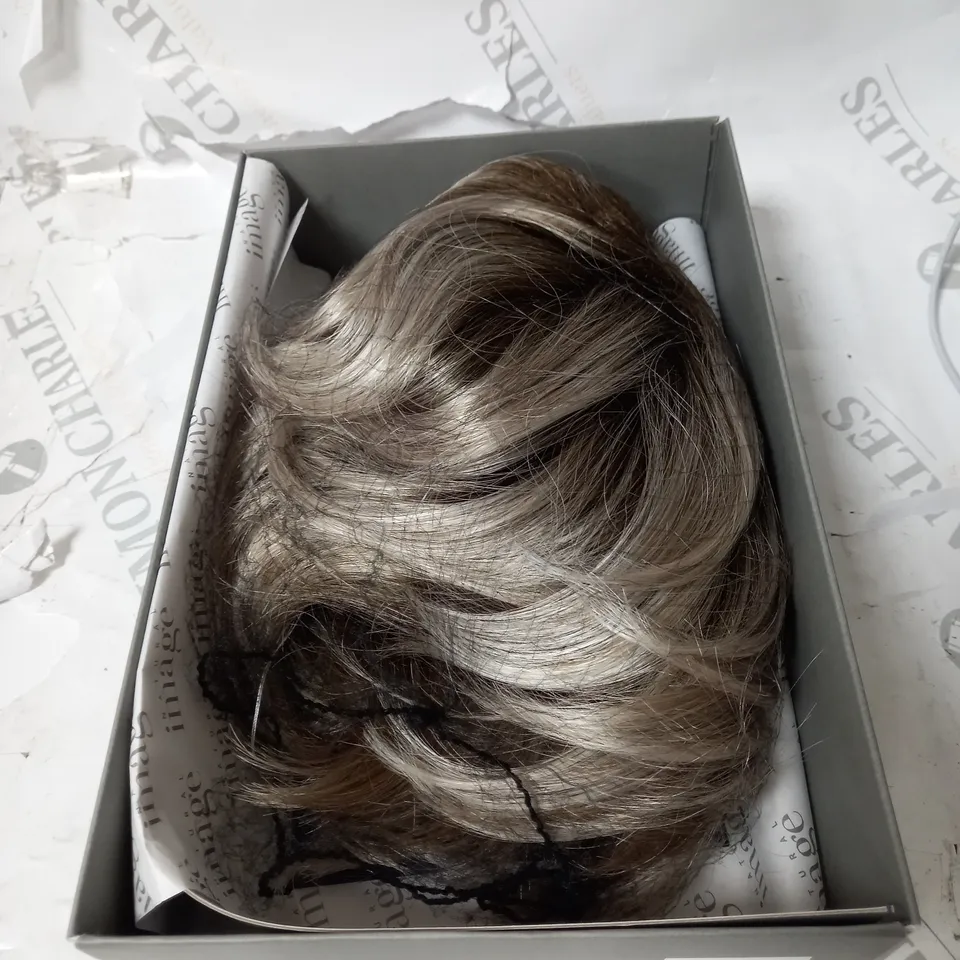 AUDACIOUS WIG BY NAUTRAL IMAGE - GREY WITH DARK HIGHLIGHTS 