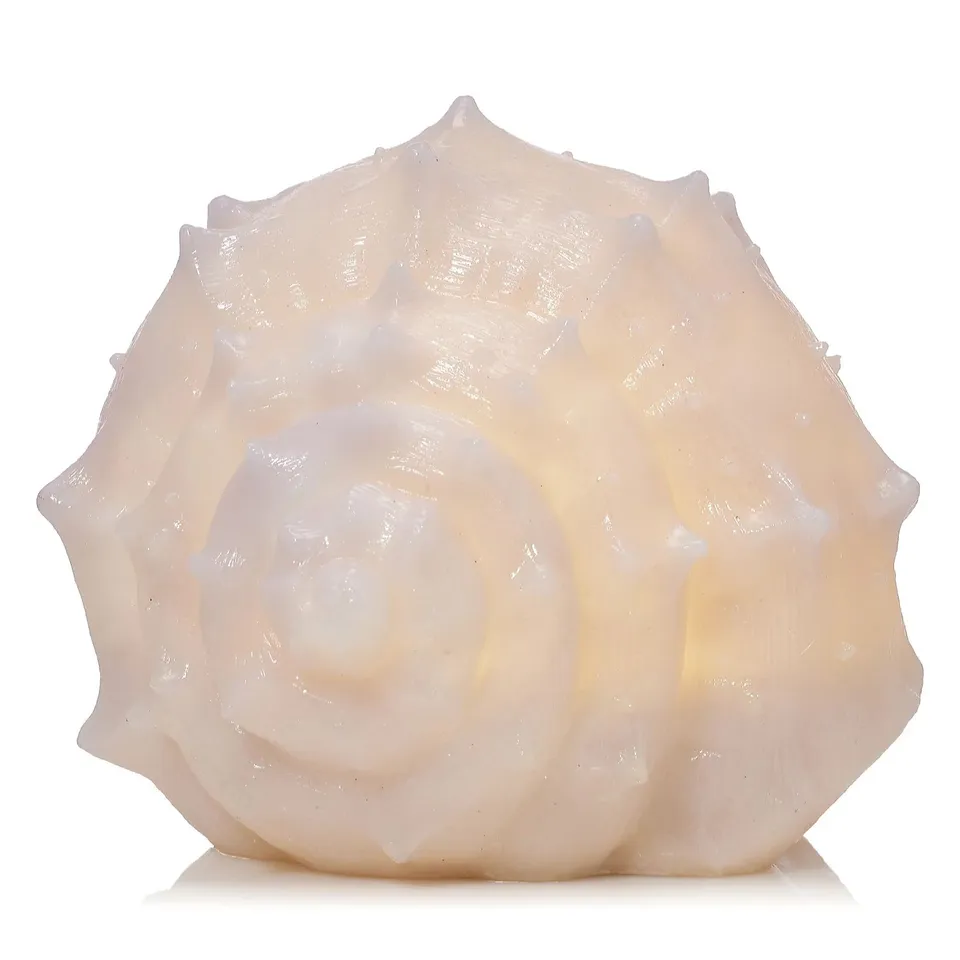 GARDEN REFLECTIONS COASTAL EDIT SHELL LED BATTERY OPERATED OUTDOOR LIGHT
