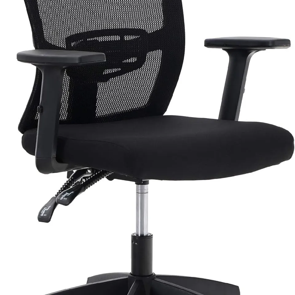 BOXED ALPHA HOME ERGONOMIC HOME DESK CHAIR WITH LUMBAR SUPPORT WITH ADJUSTABLE ARMREST & SEAT CUSHION 