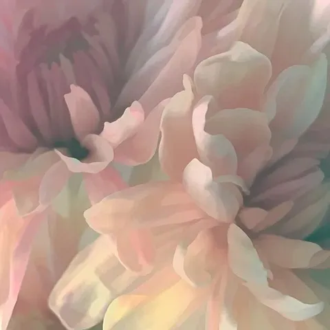 BOXED PINK FLORAL - WRAPPED CANVAS PRINT