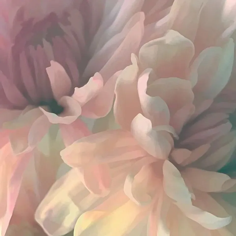 BOXED PINK FLORAL - WRAPPED CANVAS PRINT