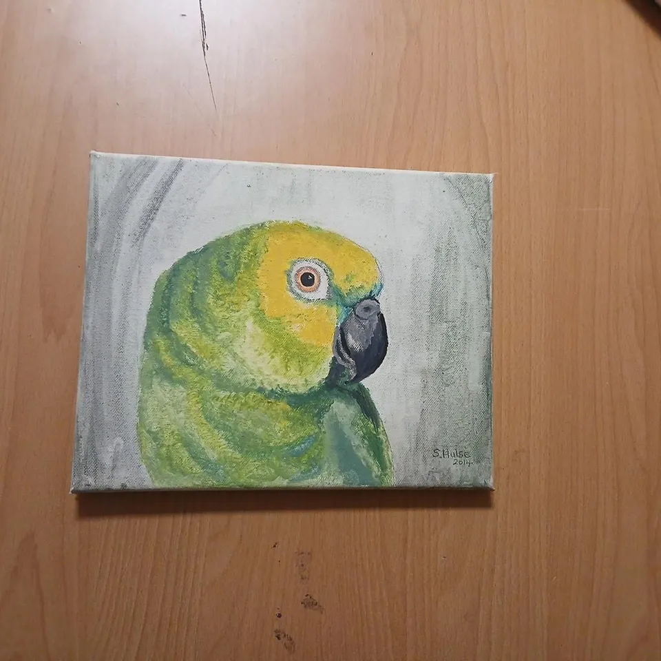 PARROT PAINTING ON CANVAS BY S. HULSE, 2014