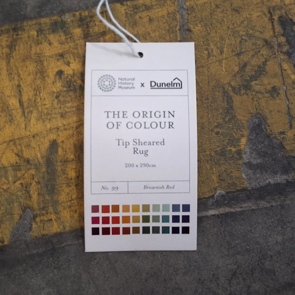 Tip Sheared Rug – The Origin of Colour (Natural History Museum x Dunelm), 200 × 290 cm, Brownish Red