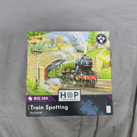 TRAIN SPOTTING β 250-PIECE JIGSAW PUZZLE BY HOUSE OF PUZZLES (RAY CRESSWELL)