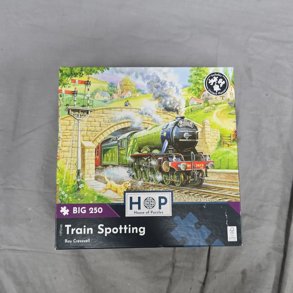 TRAIN SPOTTING – 250-PIECE JIGSAW PUZZLE BY HOUSE OF PUZZLES (RAY CRESSWELL)
