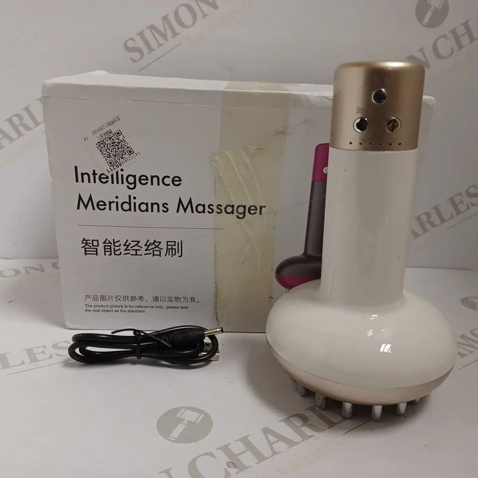 INTELLIGENCE MERIDANS MASSAGER - WHITE