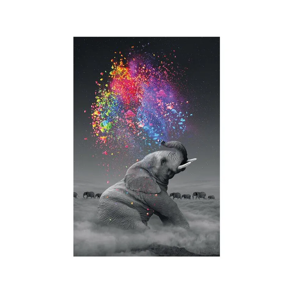 ELEPHANT AND COLOUR EXPLOSION - PICTURE FRAME PAINTING