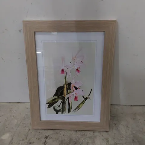 BOXED MAGNOLIA FLOWERS ILLUSTRATION TAB. - FRAMED PICTURE