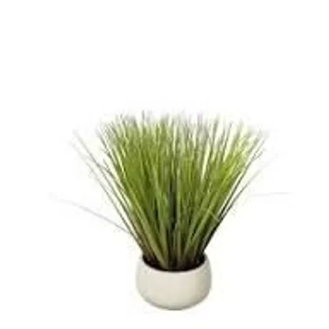 K BY KELLY HOPPEN INDOOR OUTDOOR PRE-LIT LOMANDRA GRASS W/CEMENT POT