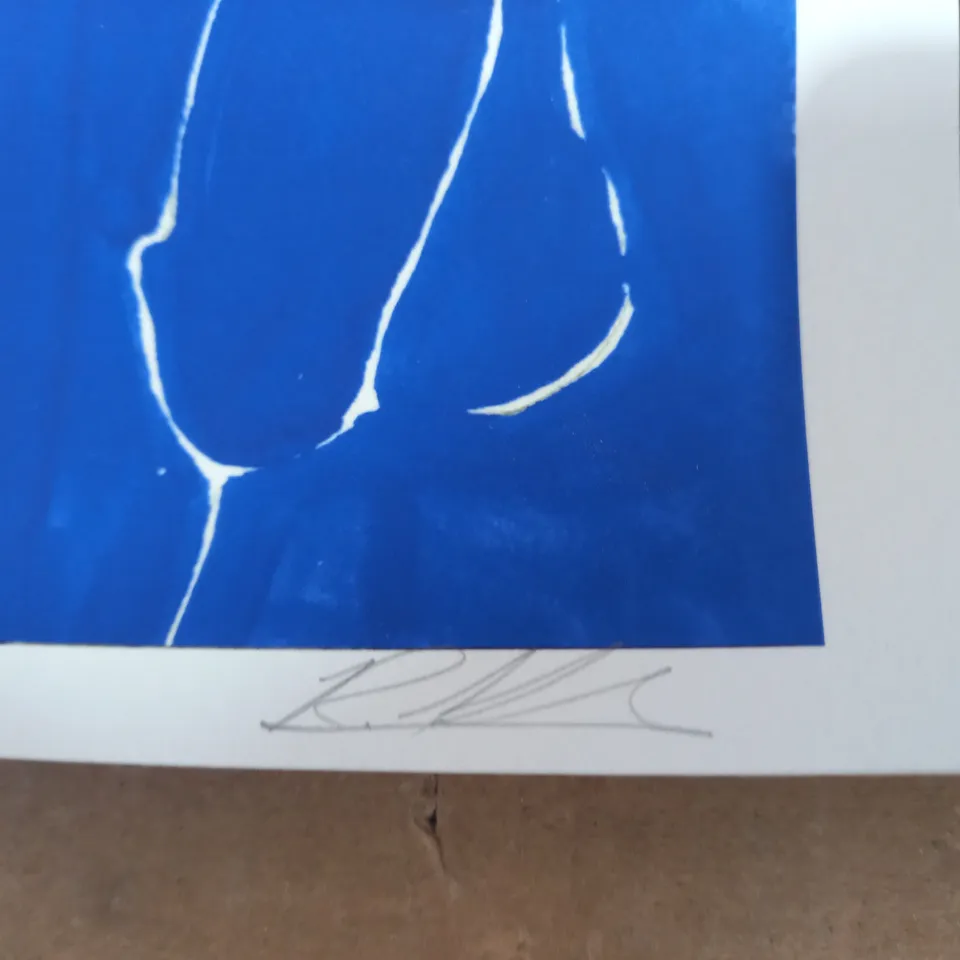 RICHARD KILROY SIGNED ARTWORK - CLOTHING OPTIONAL