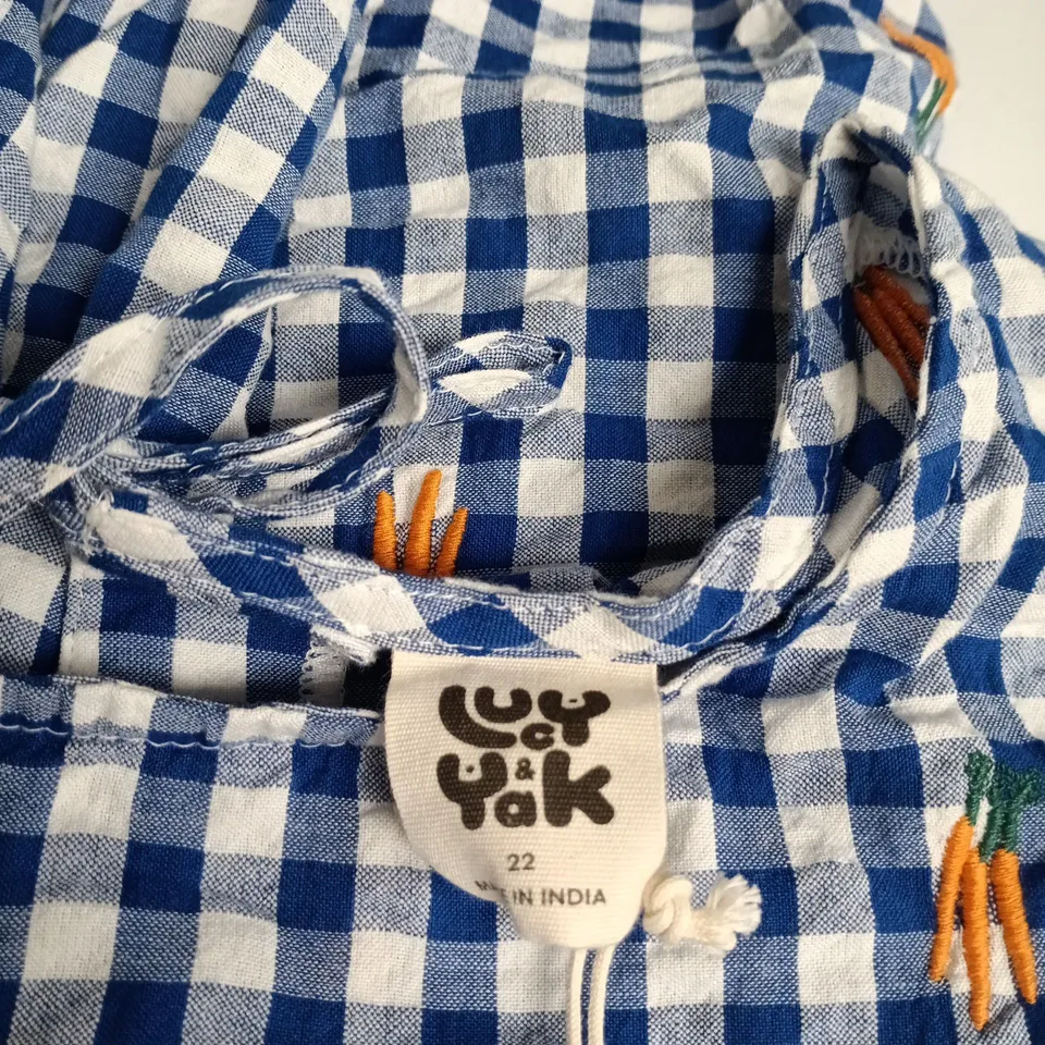 LUCY & YAK SACHA DRESS – ORGANIC COTTON, CARROT EMBROIDERY, BLUE & WHITE GINGHAM, UK SIZE 22