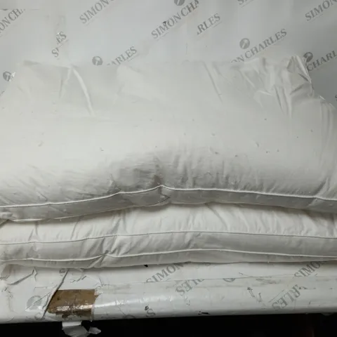 NORTHERN NIGHTS SET OF 2 PUR FEATHER PILLOWS