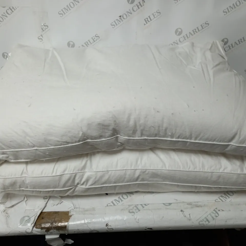NORTHERN NIGHTS SET OF 2 PUR FEATHER PILLOWS