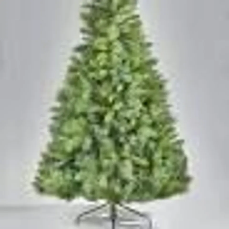 6FT MAJESTIC PINE TREE - COLLECTION ONLY RRP £109.99