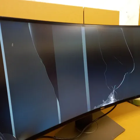DELL MONITOR 