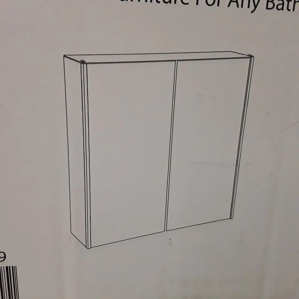 BOXED CARTHAGE 45MM W 45MM H RECESSED FRAMELESS MEDICINE CABINET