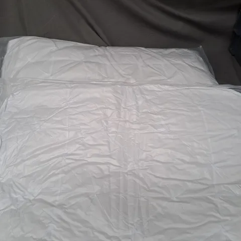 LOT OF 2 HOTEL PILLOWS