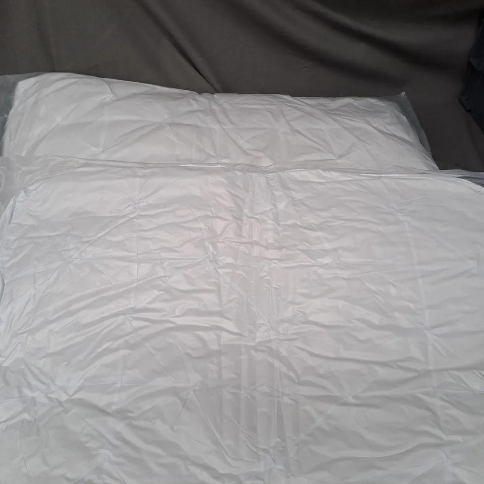 LOT OF 2 HOTEL PILLOWS