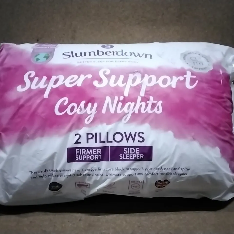 BAGGED SLUMBERDOWN COSY NIGHT'S PILLOW X2