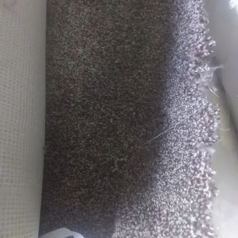 ROLL OF QUALITY DARWIN 420 TARTUFFO CARPET 4X4.7M