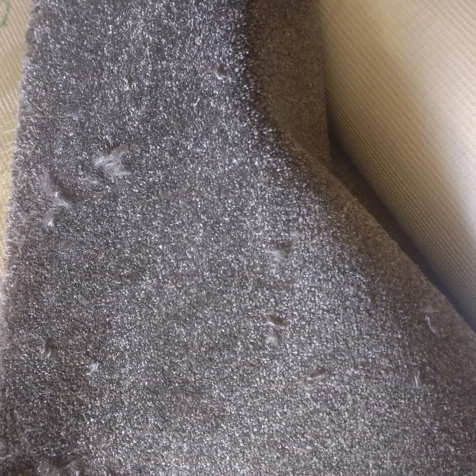 ROLL OF QUALITY DARWIN 420 TARTUFFO CARPET 4X3.2M