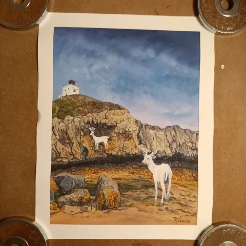 ADRIANA LAMBING "STAG ROCK" ART PRINT