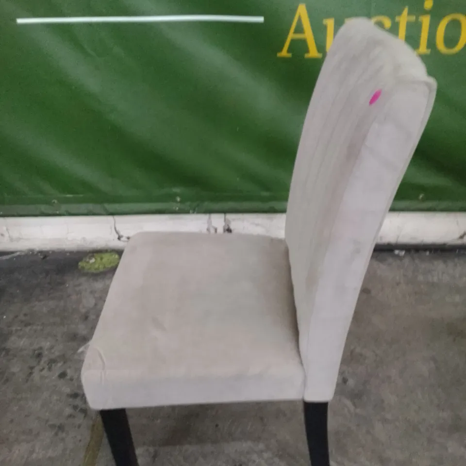 SALISBURY CHAMPAGNE VELVET DINING CHAIR WITH BLACK LEGS