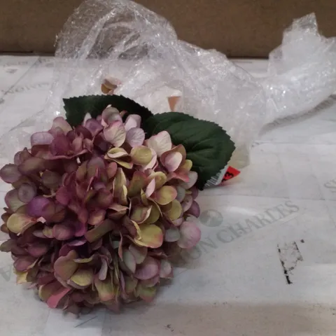 HYDRANGEA ARRANGEMENT 