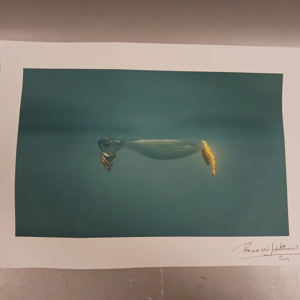 BRIAN W. MATTHEWS SIGNED AND DATED PENGUIN ART PRINT