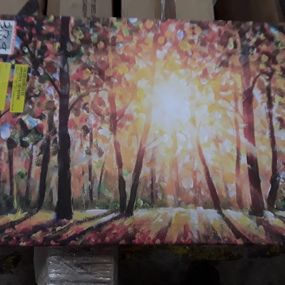 AUTUMN FOREST LANDSCAPE WITH SUN RAY - WRAPPED CANVAS 