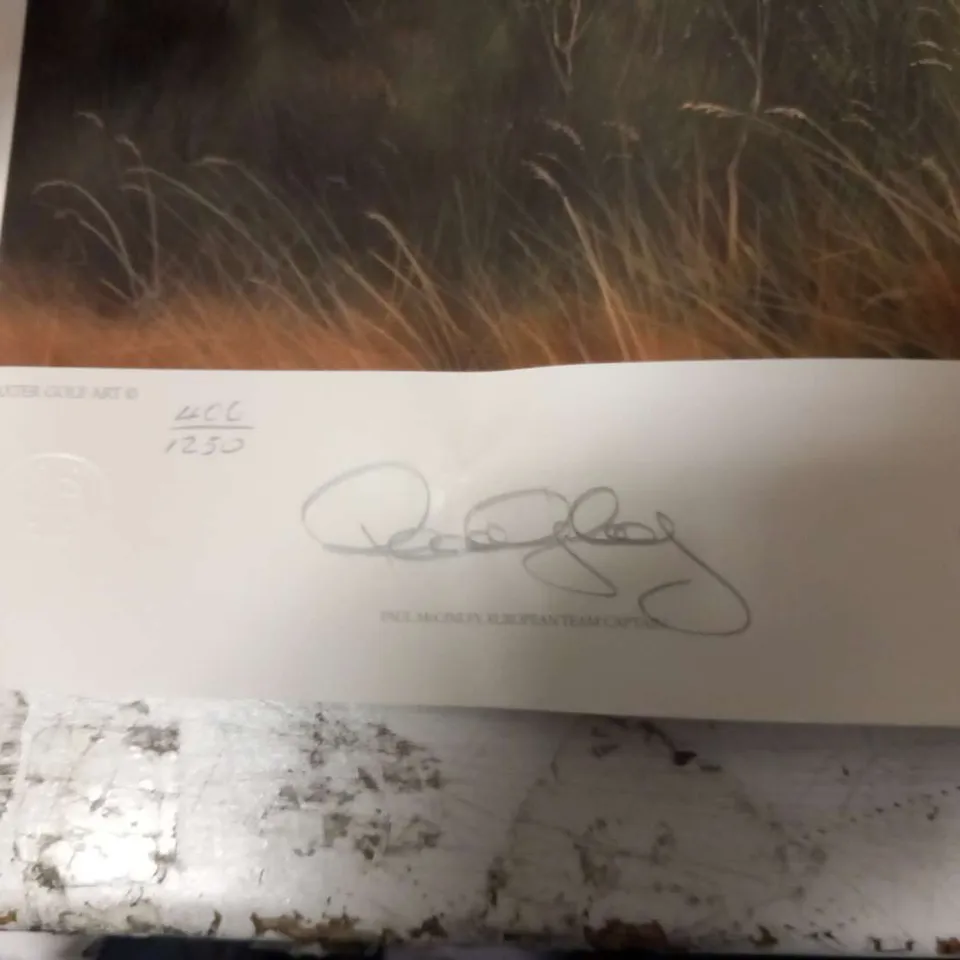 THE OFFICIAL PRINT FOR THE 2014 RYDER CUP, 2ND HOLE, THE PGA CENTENARY COURSE, GLENEAGLES BY GRAEME W. BAXTER SIGNED BY THE ARTIST AND PAUL MCGINLEY, EUROPEAN TEAM CAPTAIN #406/1250