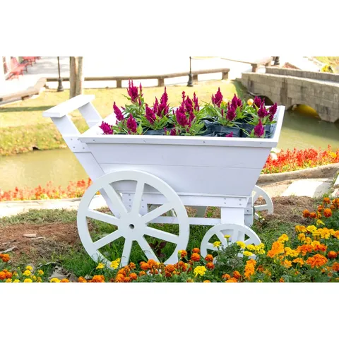BOXED WHITE WOOD CART BY MYIBEAN - WRAPPED CANVAS PRINT