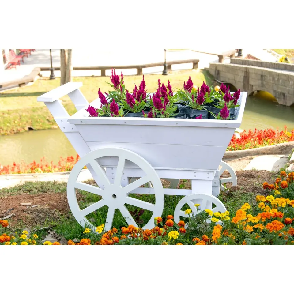 BOXED WHITE WOOD CART BY MYIBEAN - WRAPPED CANVAS PRINT 