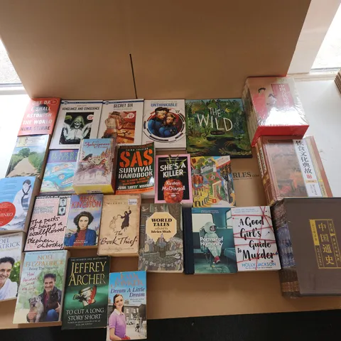 CAGE OF A SIGNIFICANT QUANTITY OF ASSORTED BOOKS BY NINA STIBBE, DC COMICS, KIRSTEN MCDOUGALL, NOEL FITZPATRICK, HOLLY JACKSON, JEFFREY ARCHER, MIN JIN LEE, SHAKESPEARE, ETC