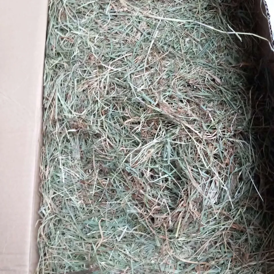 LARGE BOX OF HAY 4 PETS HAY