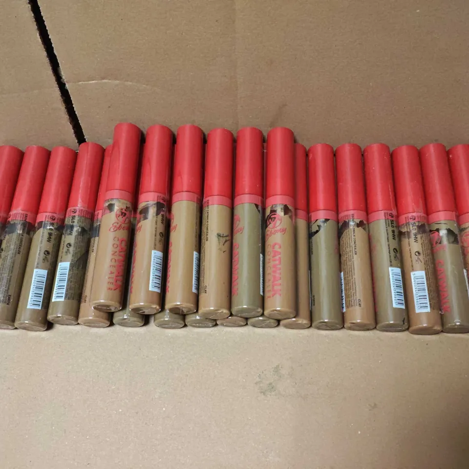 LOT OF 22 EBONY CATWALK CONCEALERS - CLAY