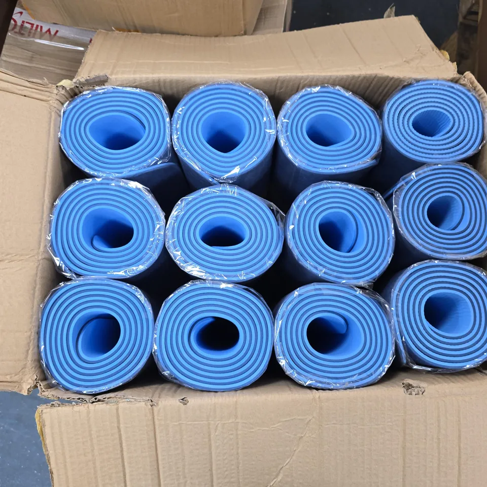 BOX OF 12 BLUE SOULSMART TPE YOGA MATS