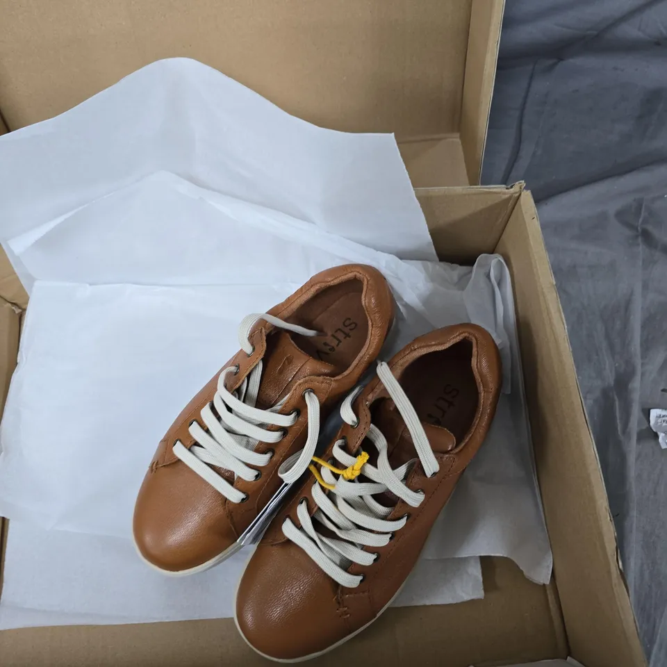 JOB LOT OF APPROXIMATELY 15 ASSORTED ITEMS TO INCLUDE: FAIRY LIGHTS AND STRIVE TRAINERS